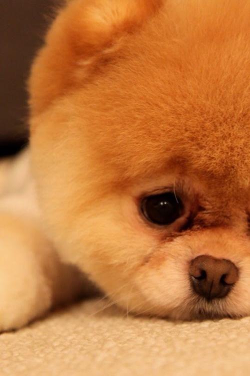 ´óÁ¬Éè8¸öÊ×Õ¾¶¨µãÀä¿â ½ø¿ÚÀäÁ´Ê³Æ·¼¯ÖÐÏûɱ